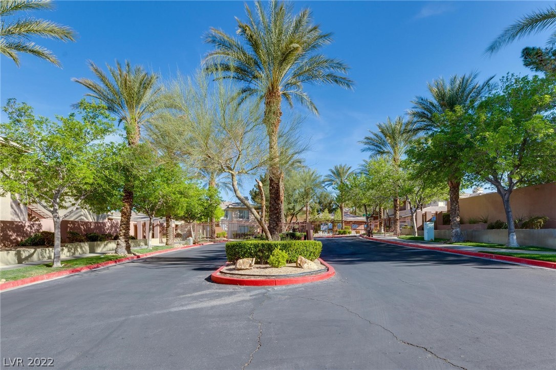 1012 Domnus Lane Unit: 206