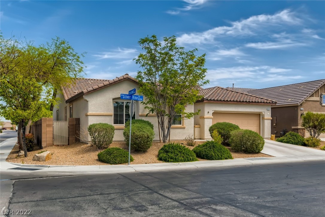 8232 Silver Vine Street