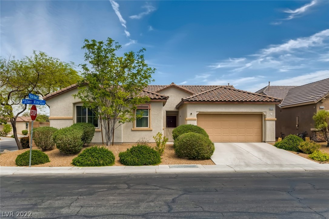 8232 Silver Vine Street