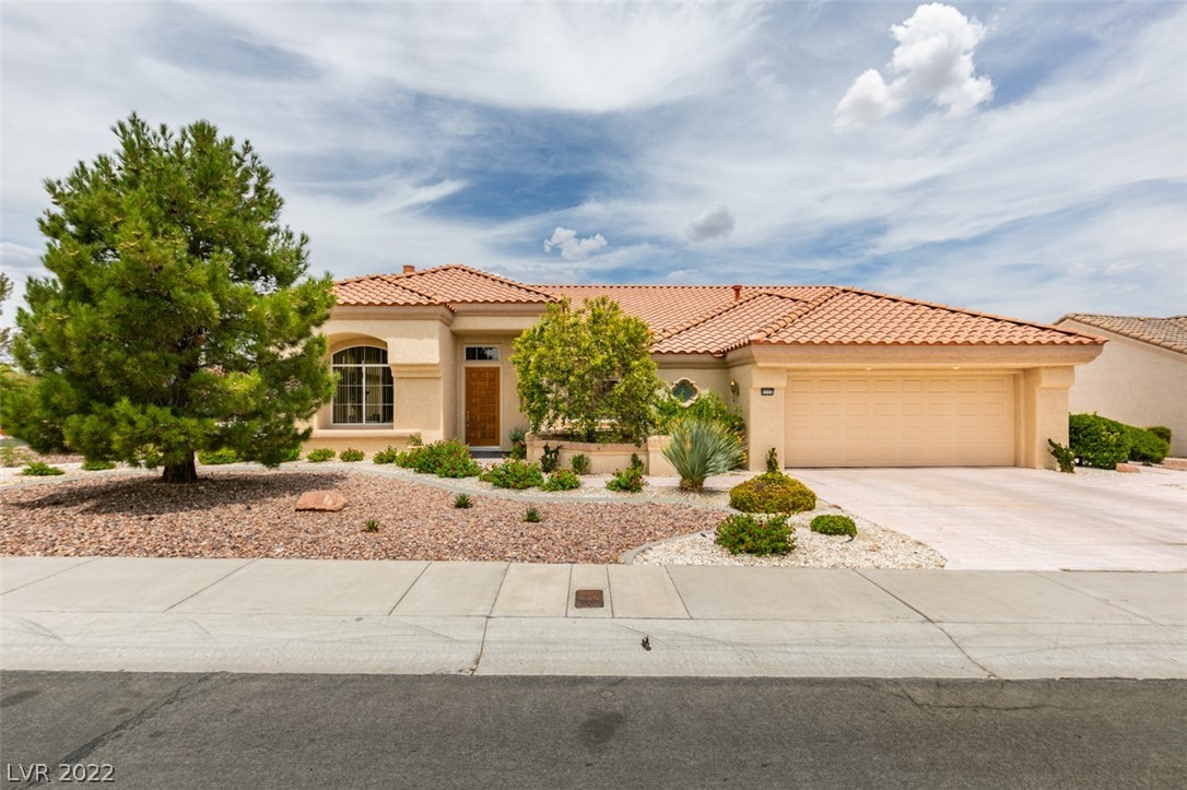 9320 Cactus Wood Drive