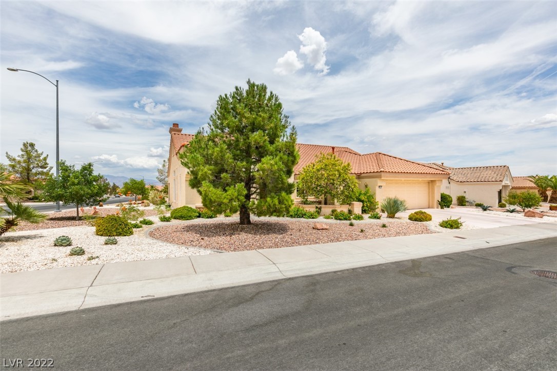 9320 Cactus Wood Drive