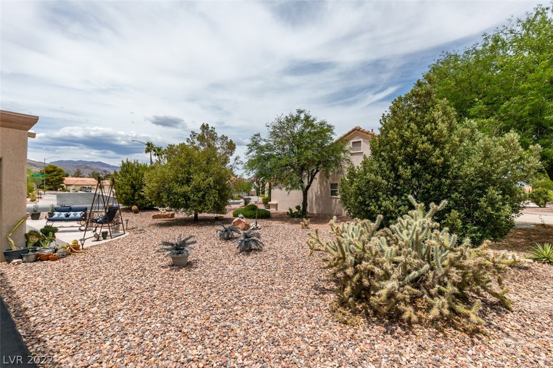 9320 Cactus Wood Drive