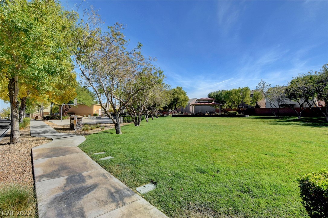 7765 Copious Cactus Court