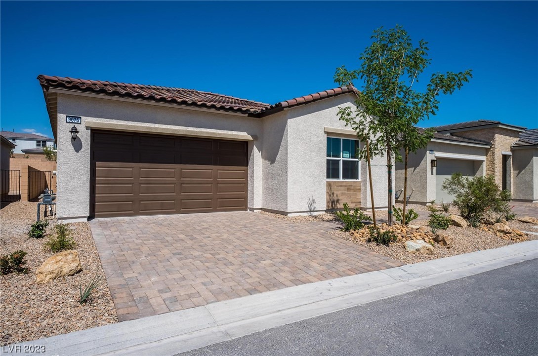 9075 Skye Treeline Street