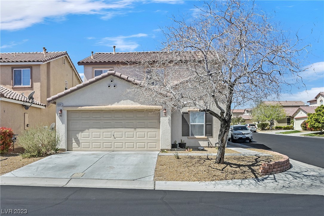 8041 Indian Blanket Street