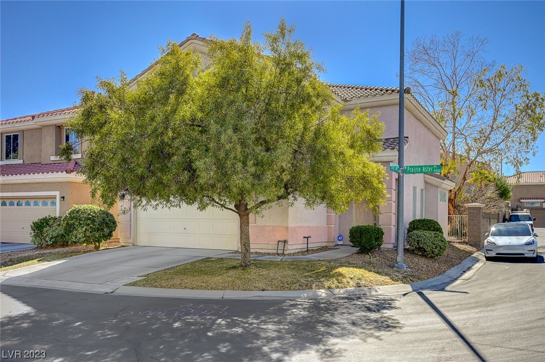 9257 Prairie Aster Place
