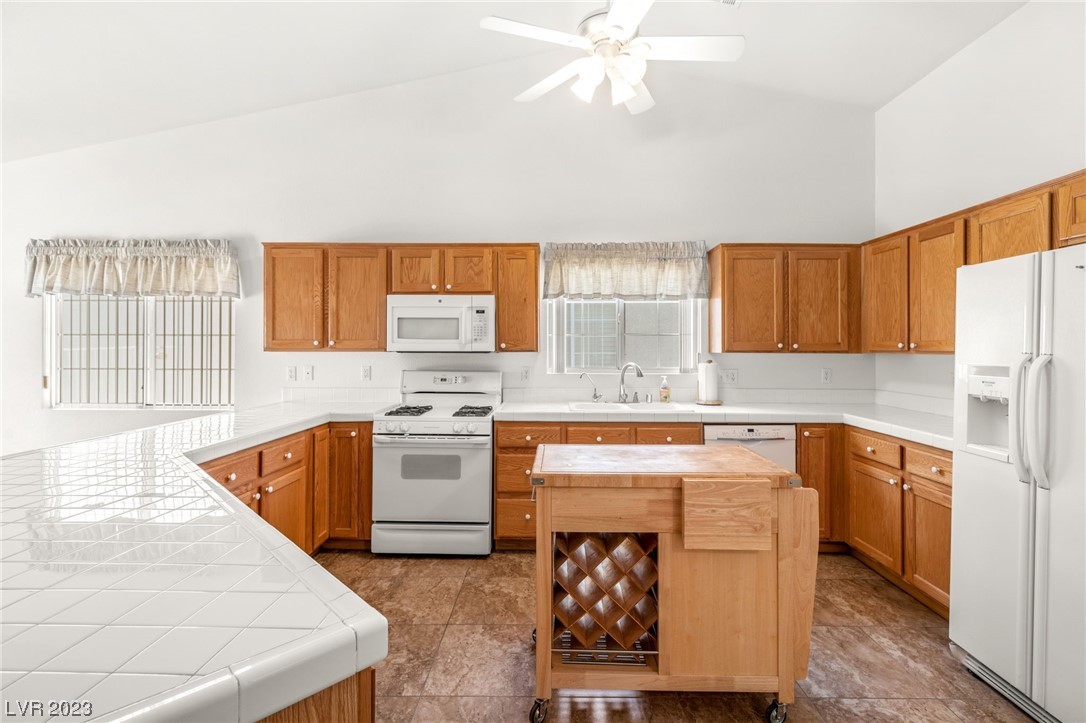 5321 Fountain Palm Street