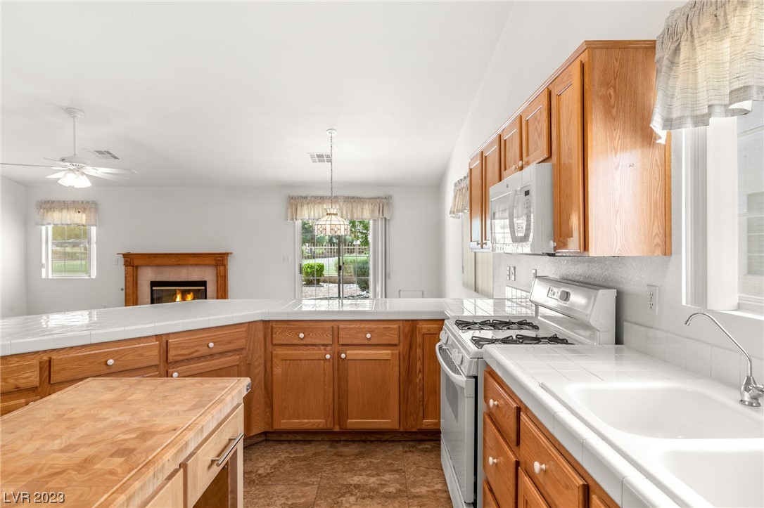 5321 Fountain Palm Street