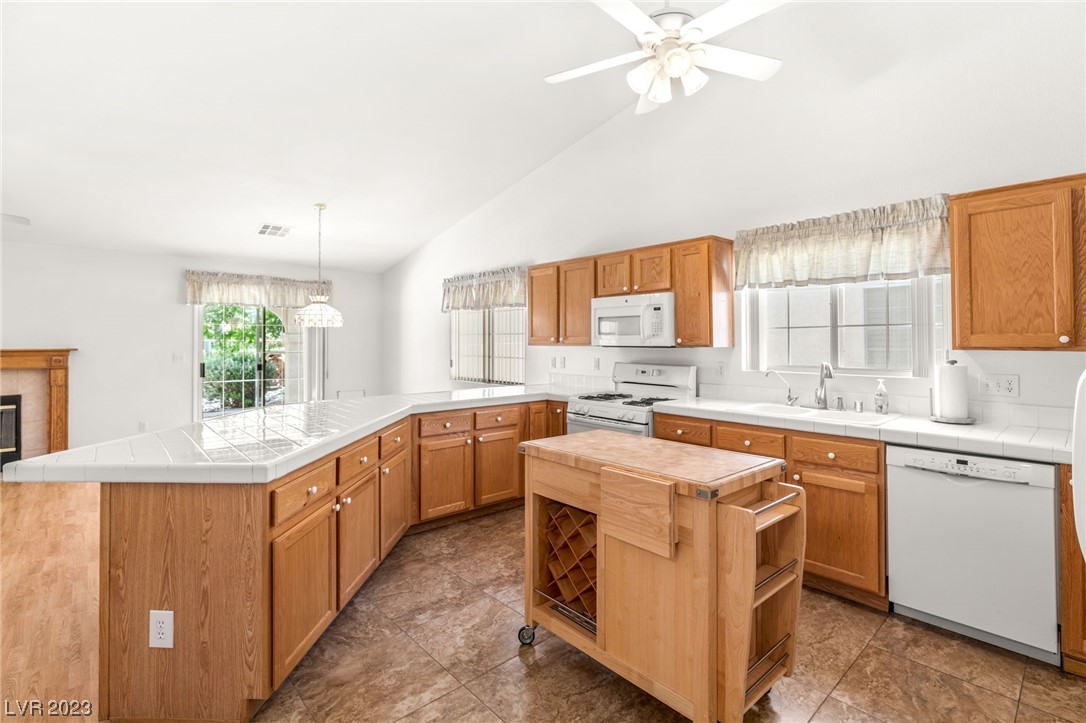 5321 Fountain Palm Street