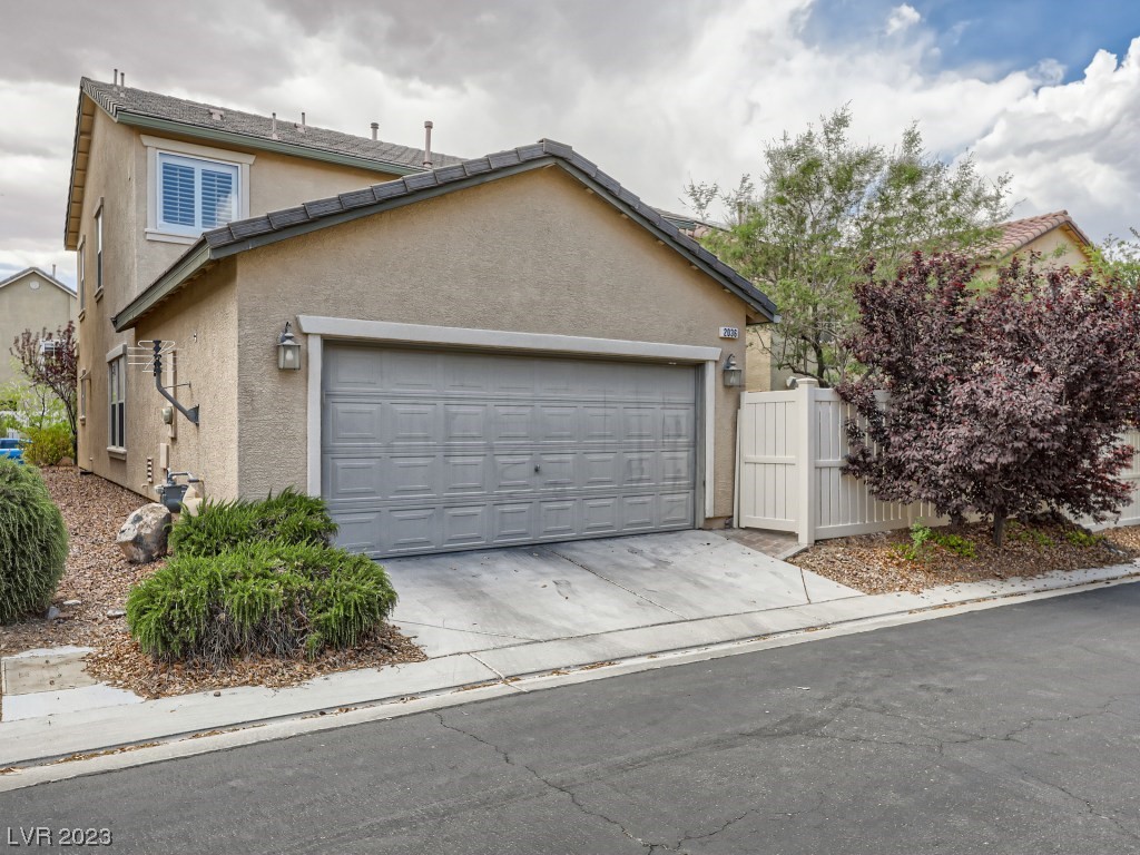 2036 Tinted Canvas Street