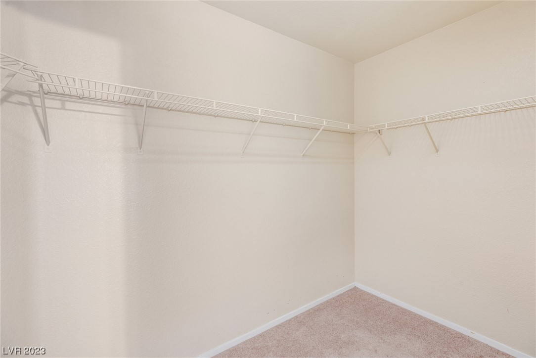 10074 Chinook Gale Court