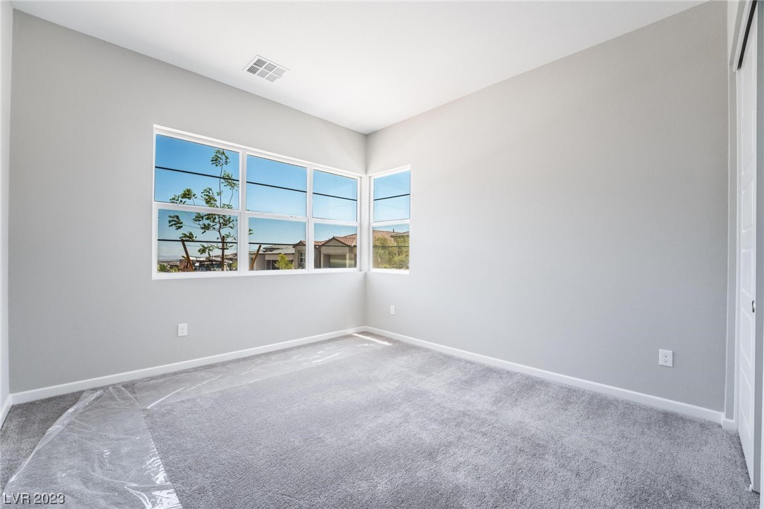 8989 Pinyon Bluff Street