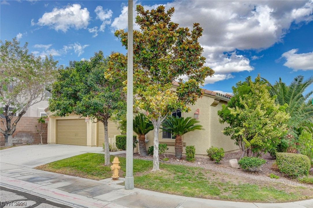 11196 Gammila Drive