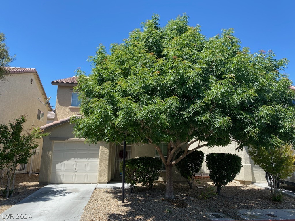4137 Buckland Court
