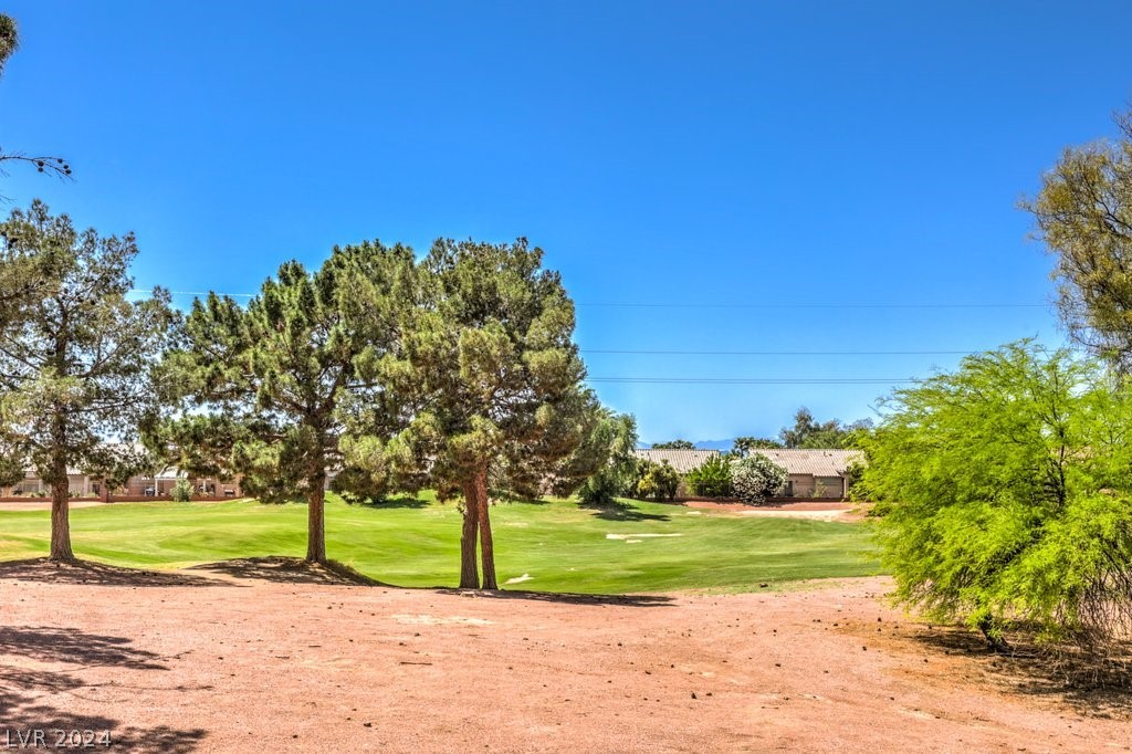 3543 Halter Drive
