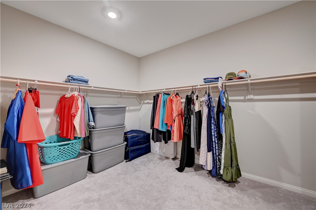 1597 Paintbrush Way