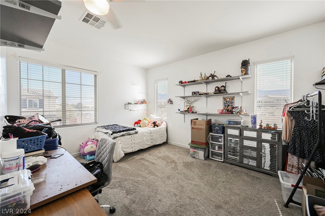 9790 Mosaic Canyon Court