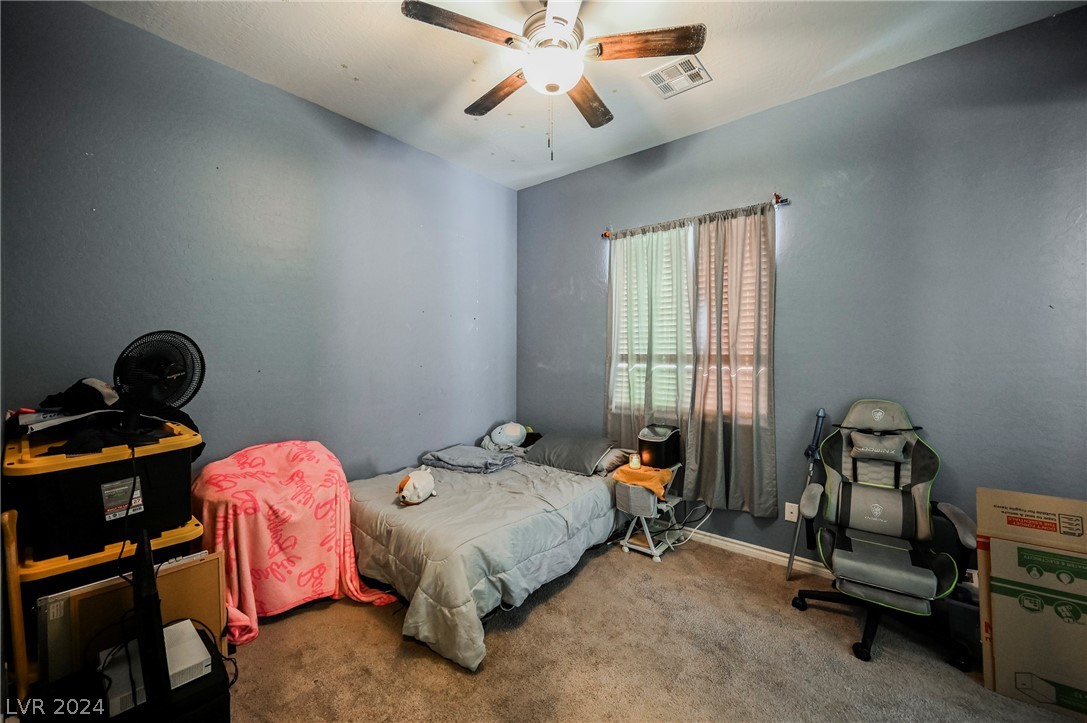 9790 Mosaic Canyon Court