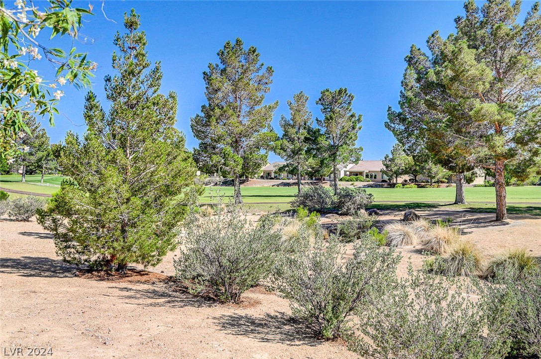 2305 Willow Wren Drive