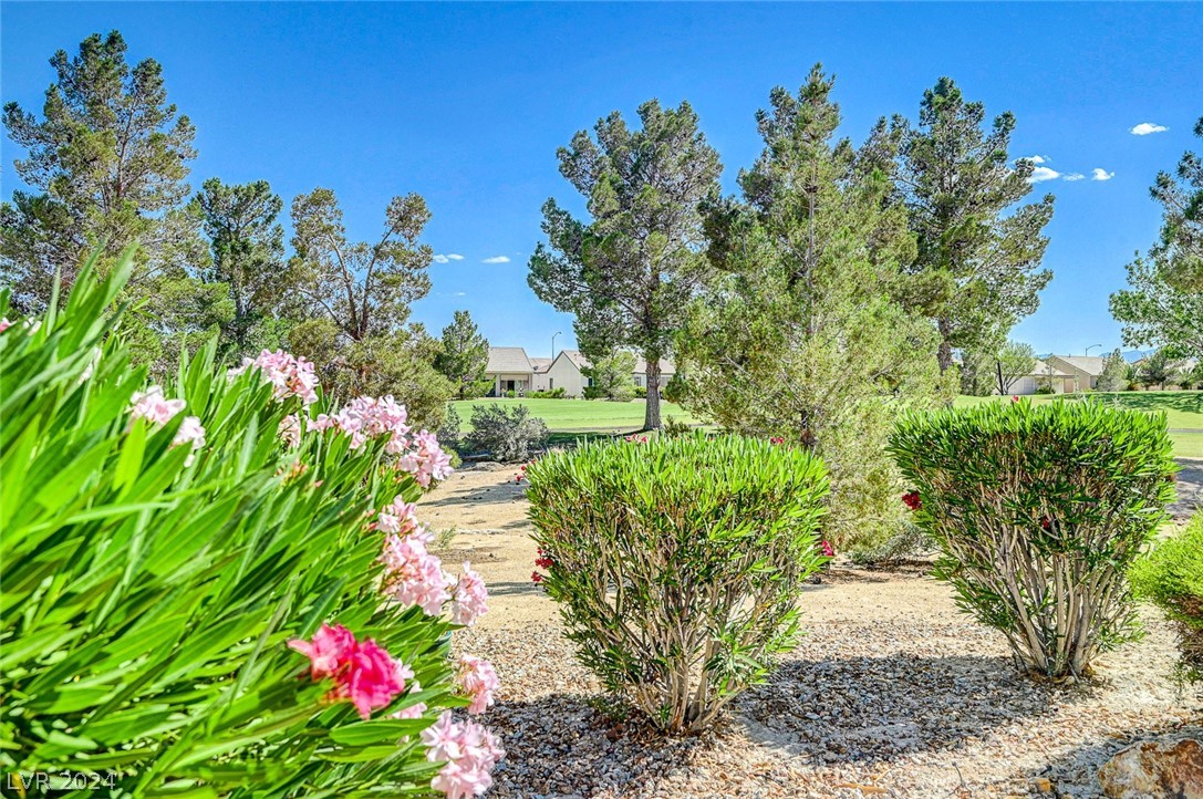 2305 Willow Wren Drive