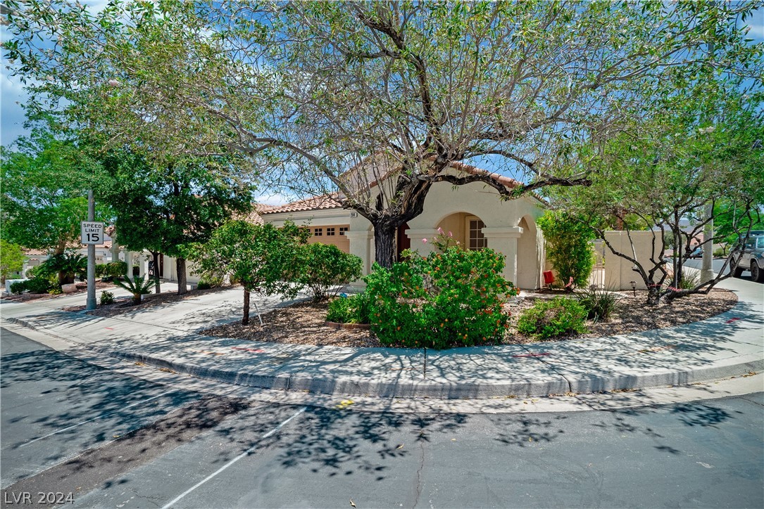 284 Spring Palms Street
