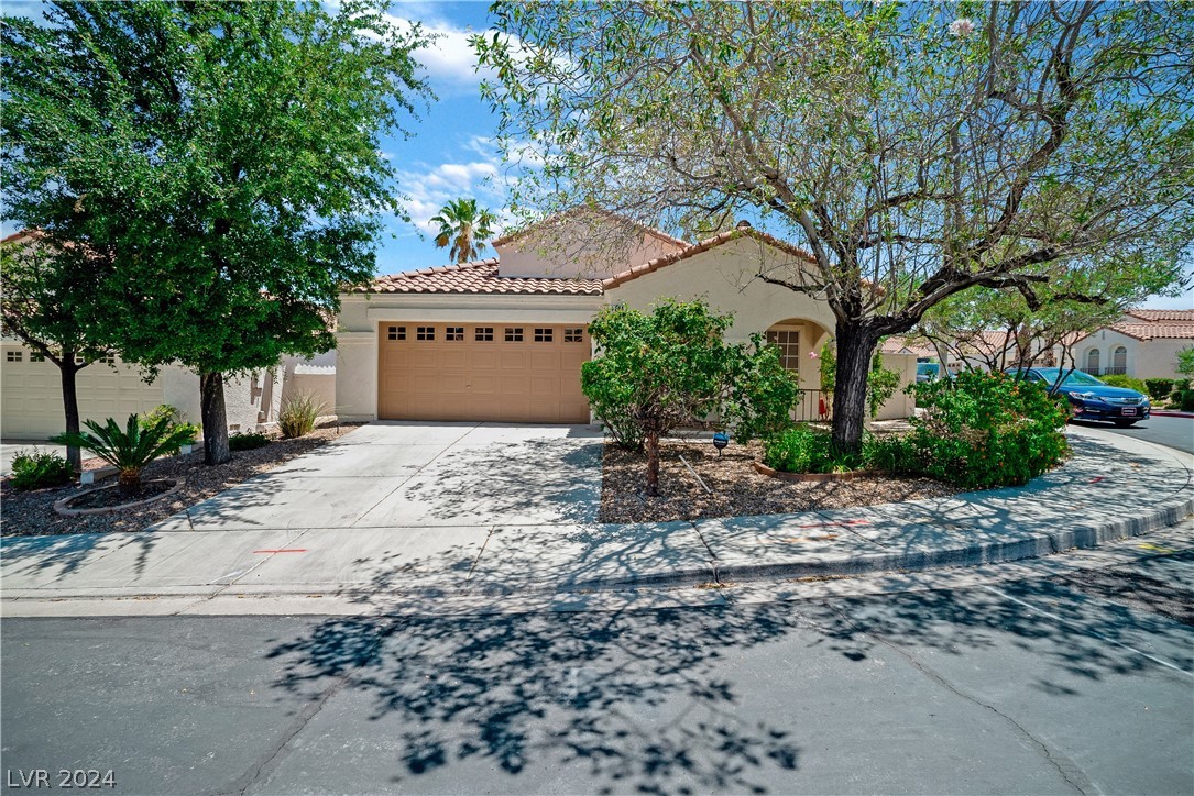 284 Spring Palms Street