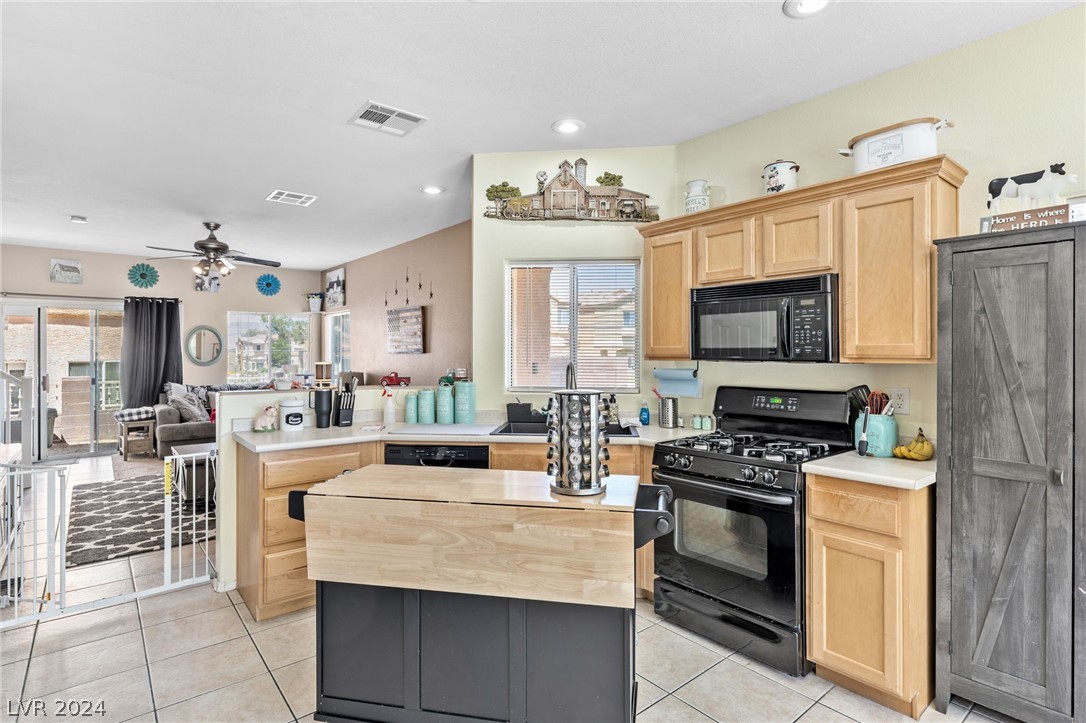 10528 Pino Basin Court