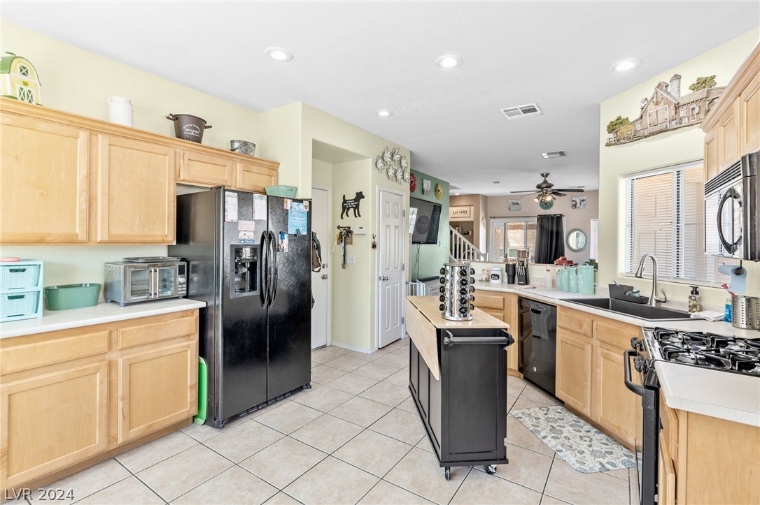 10528 Pino Basin Court