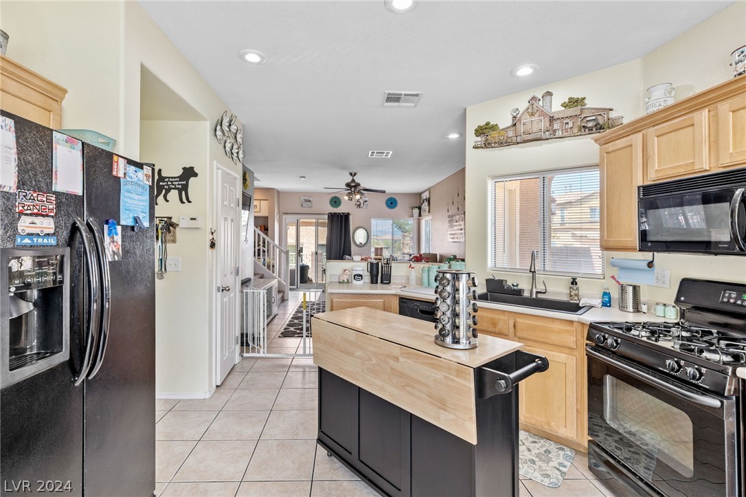 10528 Pino Basin Court