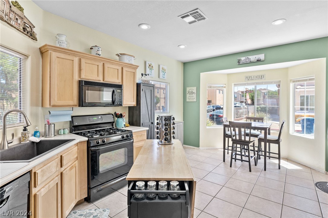 10528 Pino Basin Court
