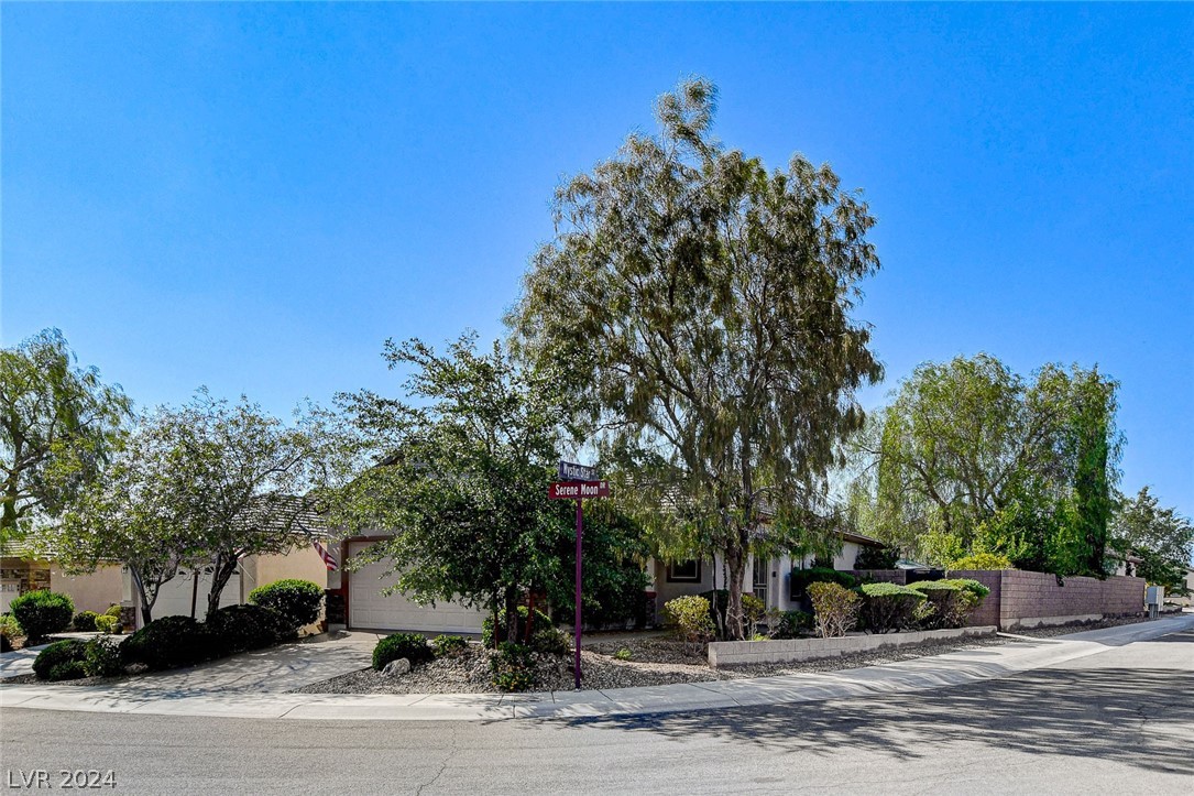 2464 Serene Moon Drive
