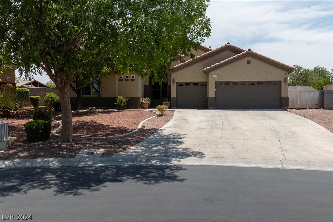 5201 Primrose Flower Avenue