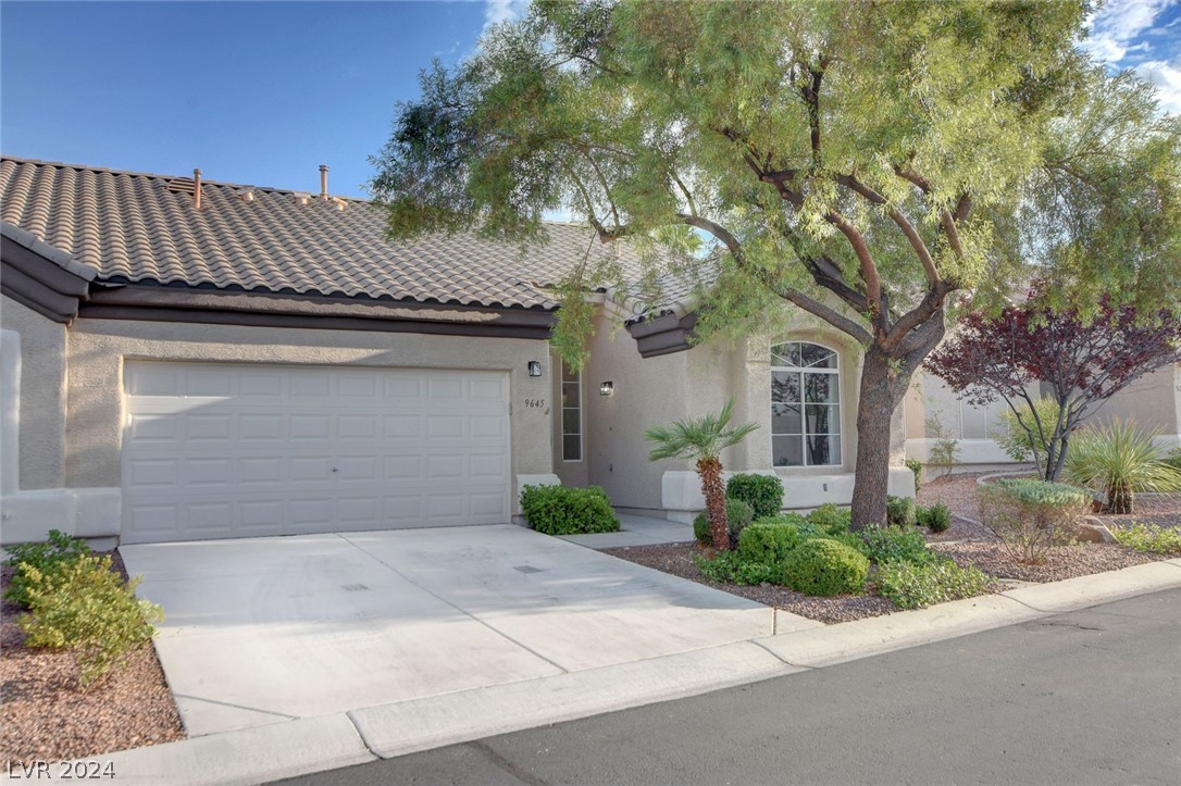 9645 Donner Springs Avenue