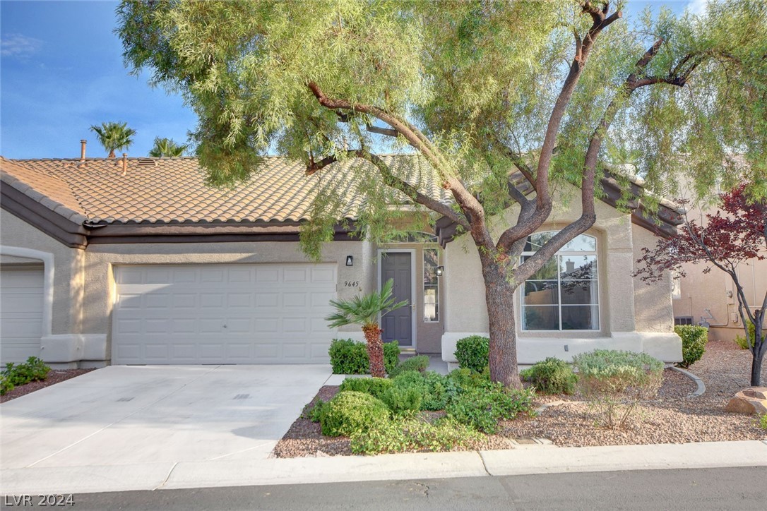 9645 Donner Springs Avenue