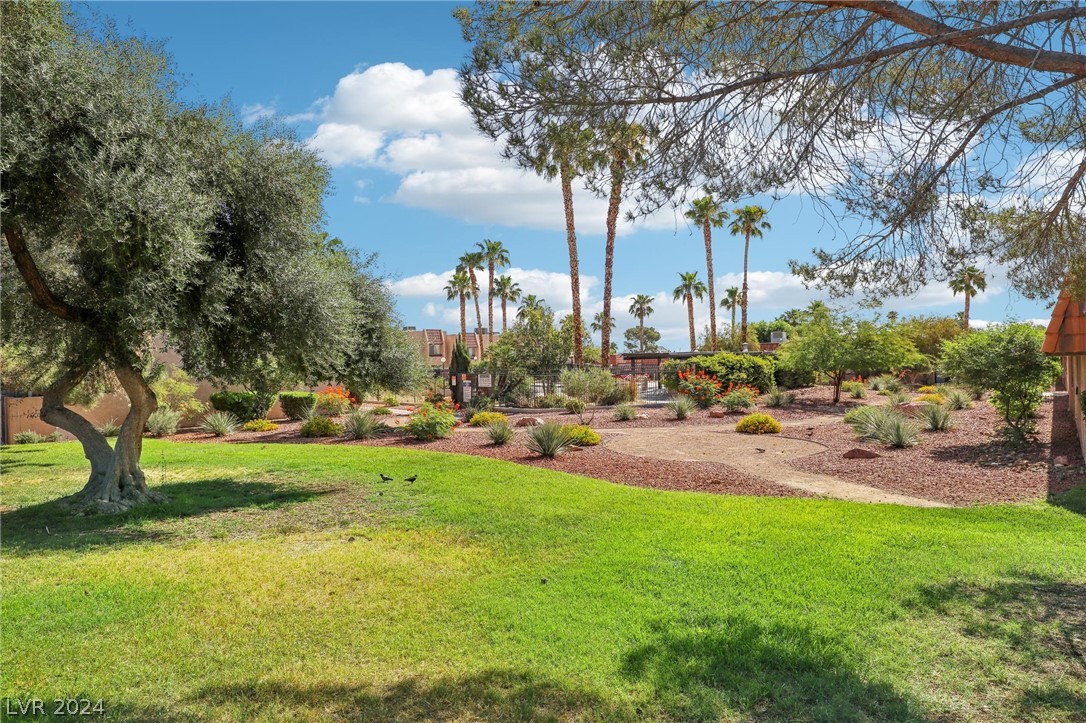 6432 Candlebrush Lane