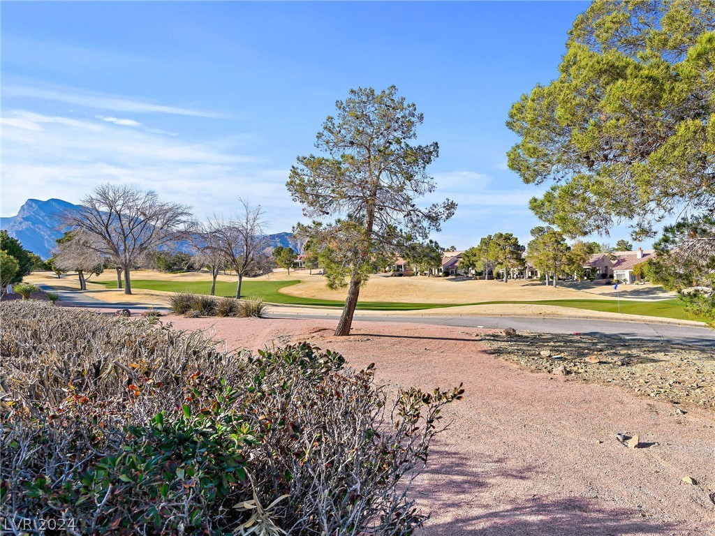 10121 Button Willow Drive