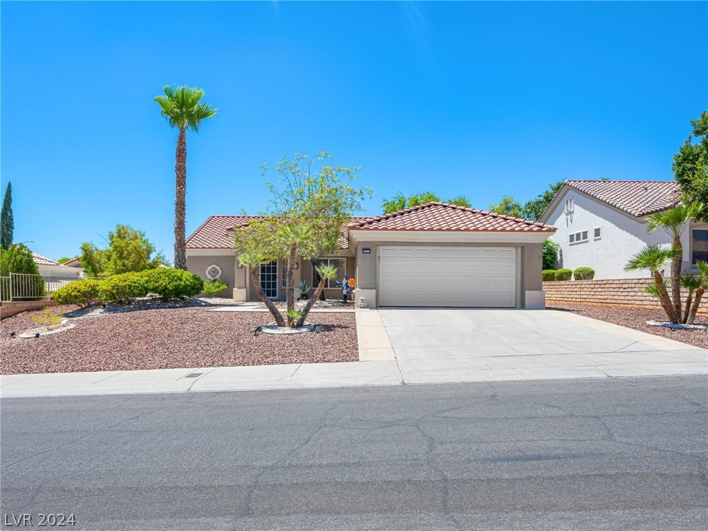 10121 Button Willow Drive