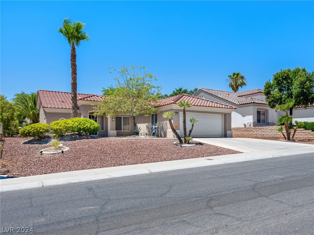 10121 Button Willow Drive