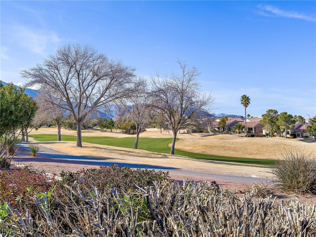 10121 Button Willow Drive