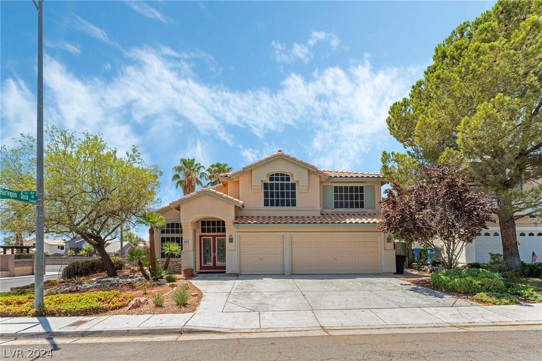 9915 Gray Sea Eagle Avenue