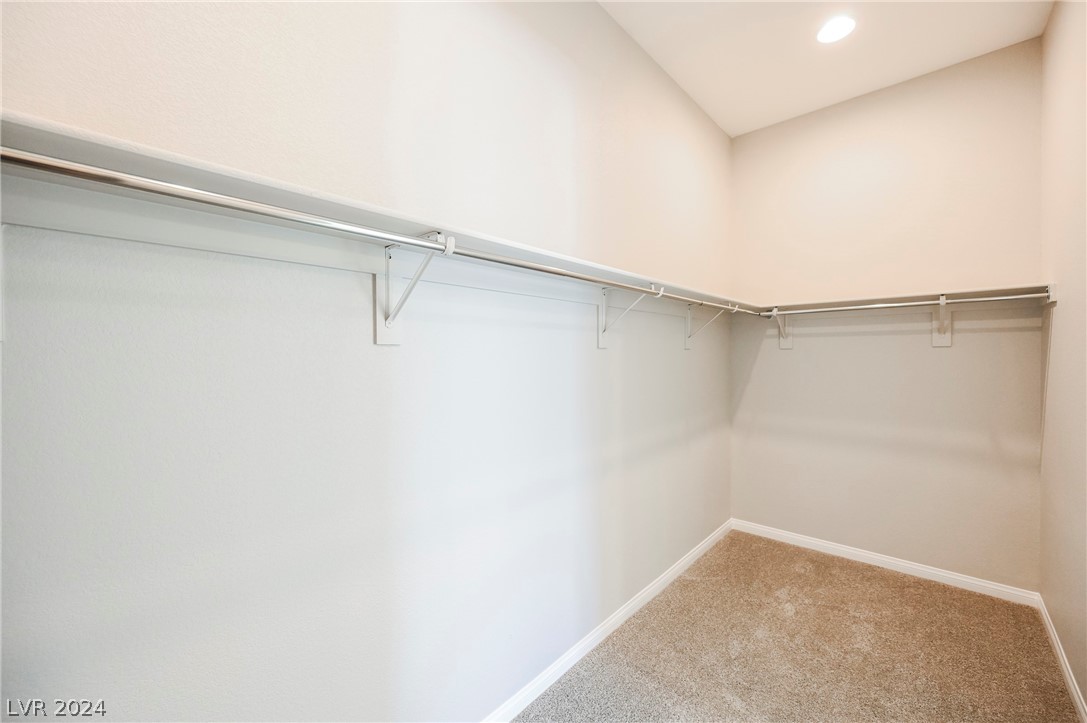 11736 Hatchling Avenue