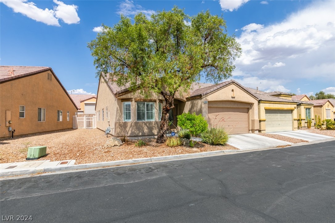 3382 Sheep Canyon Street