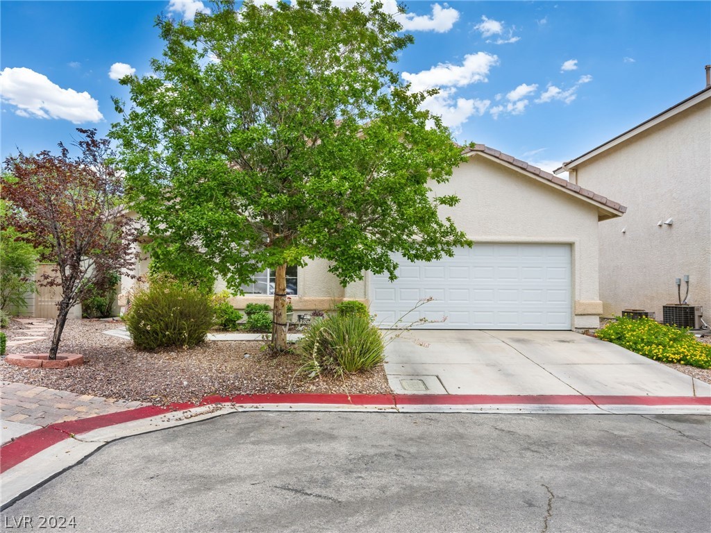 8104 Coral Blaze Court