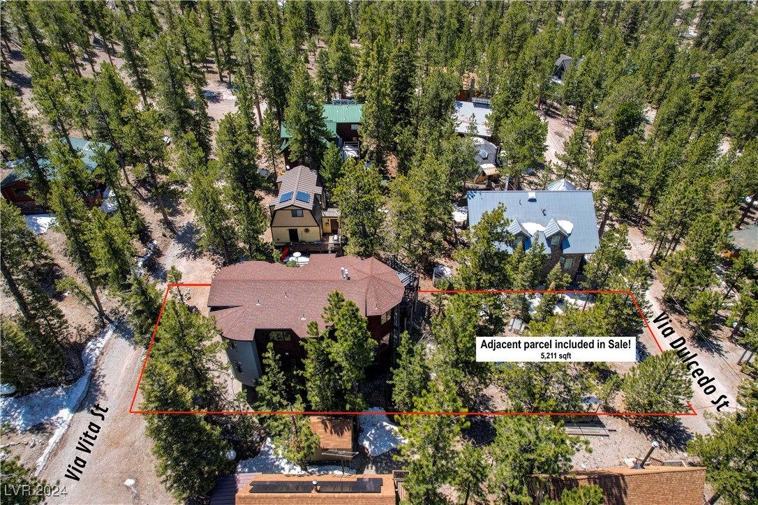 2133 Via Vita Street