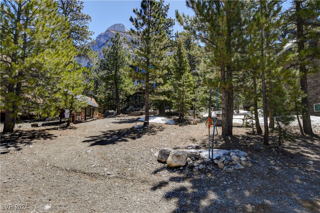 2133 Via Vita Street