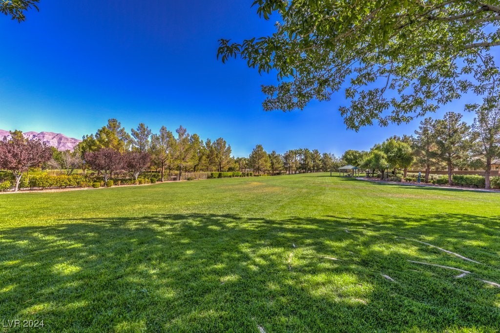 8212 Briggs Gully Street