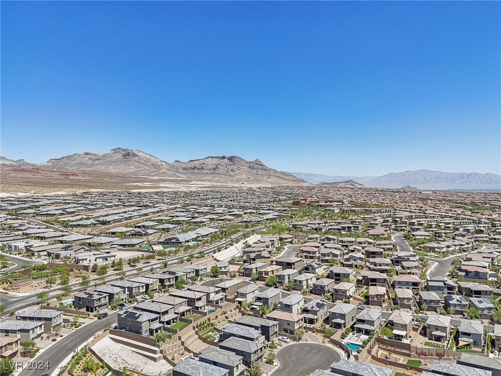 12529 Starry Heaven Street
