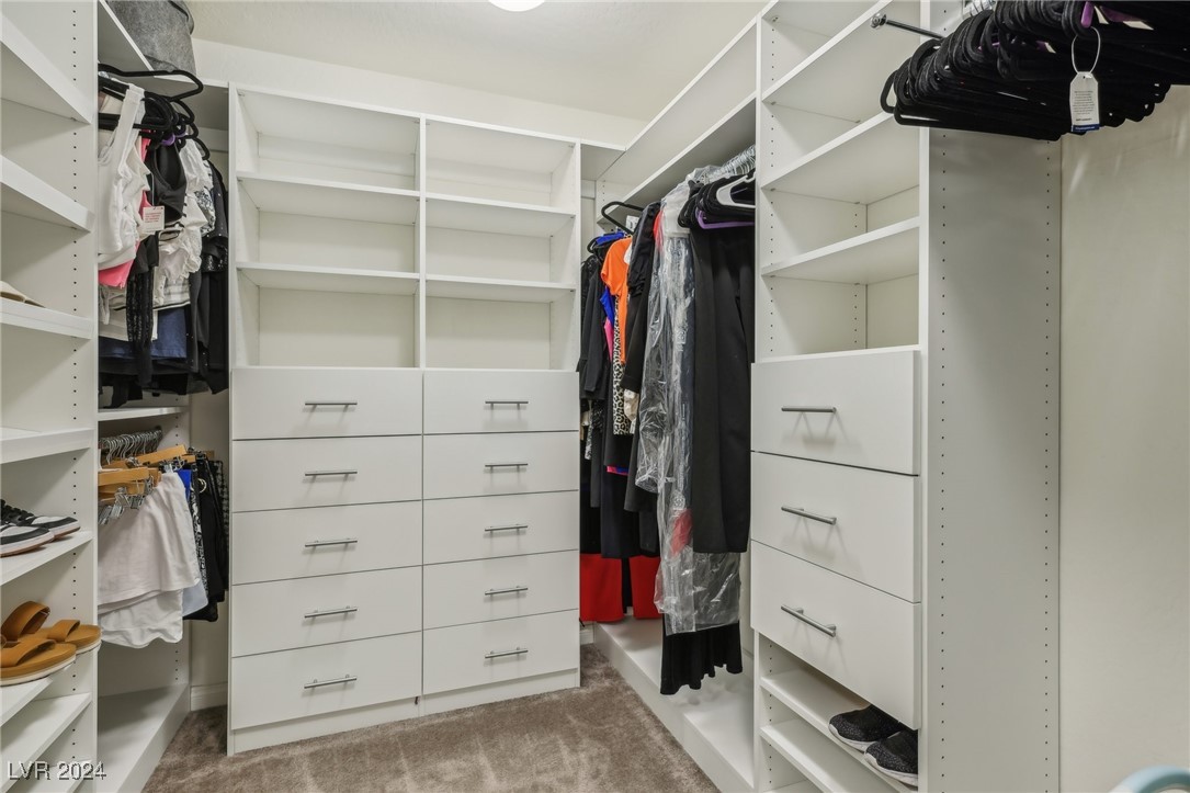12529 Starry Heaven Street