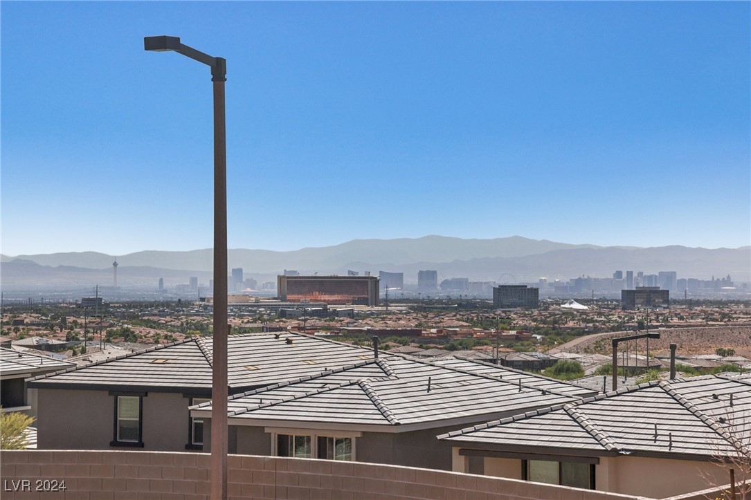 12529 Starry Heaven Street