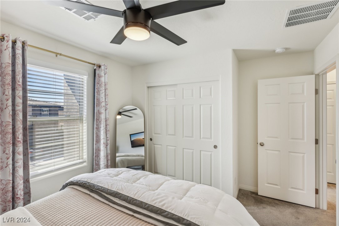 12529 Starry Heaven Street